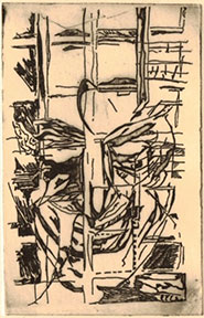 Blindspot Series. Scopopholio